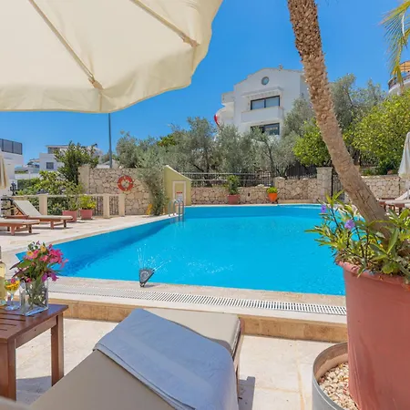 Villa Sun Elite *